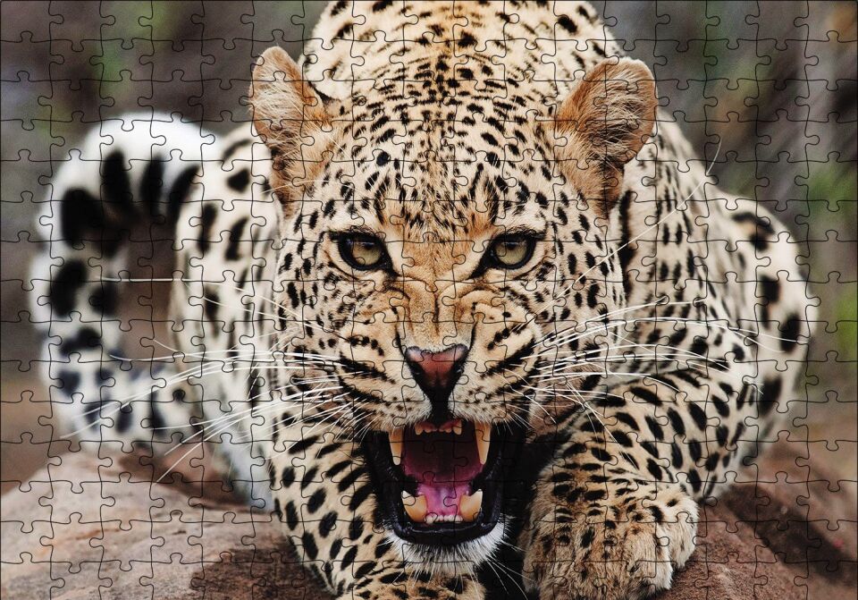 Kükreyen Jaguar Puzzle Yapboz MDF Ahşap 255 Parça 34 cm X 49 cm