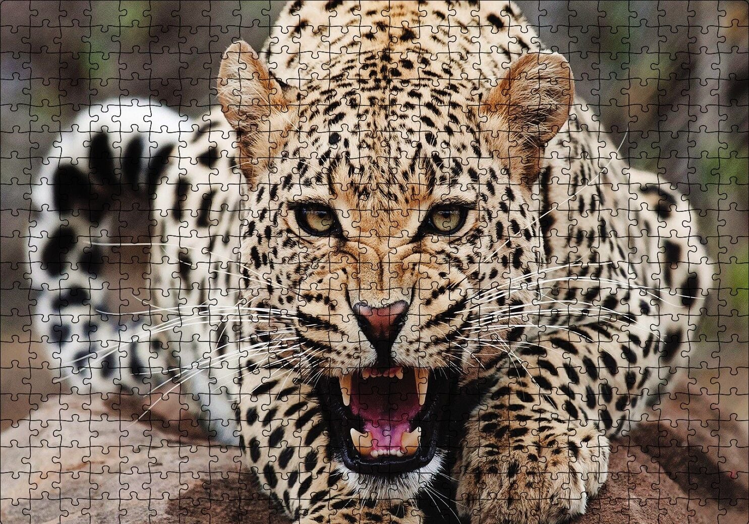 Kükreyen Jaguar Puzzle Yapboz MDF Ahşap 500 Parça 49 cm X 68 cm