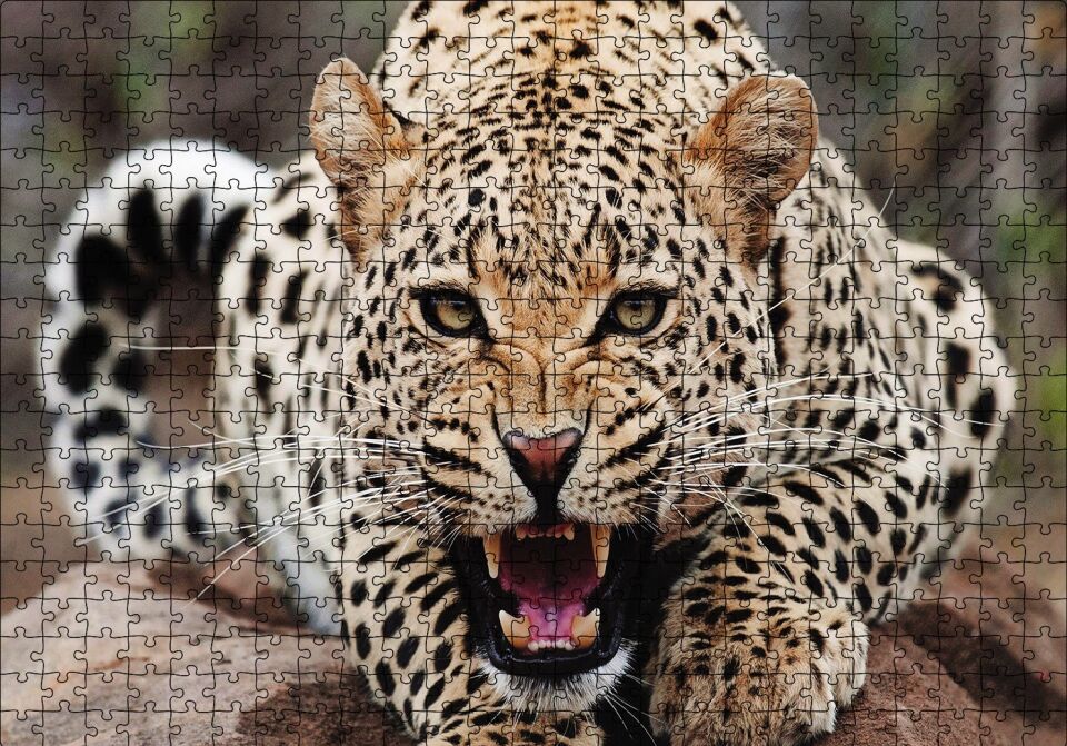 Kükreyen Jaguar Puzzle Yapboz MDF Ahşap 500 Parça 49 cm X 68 cm