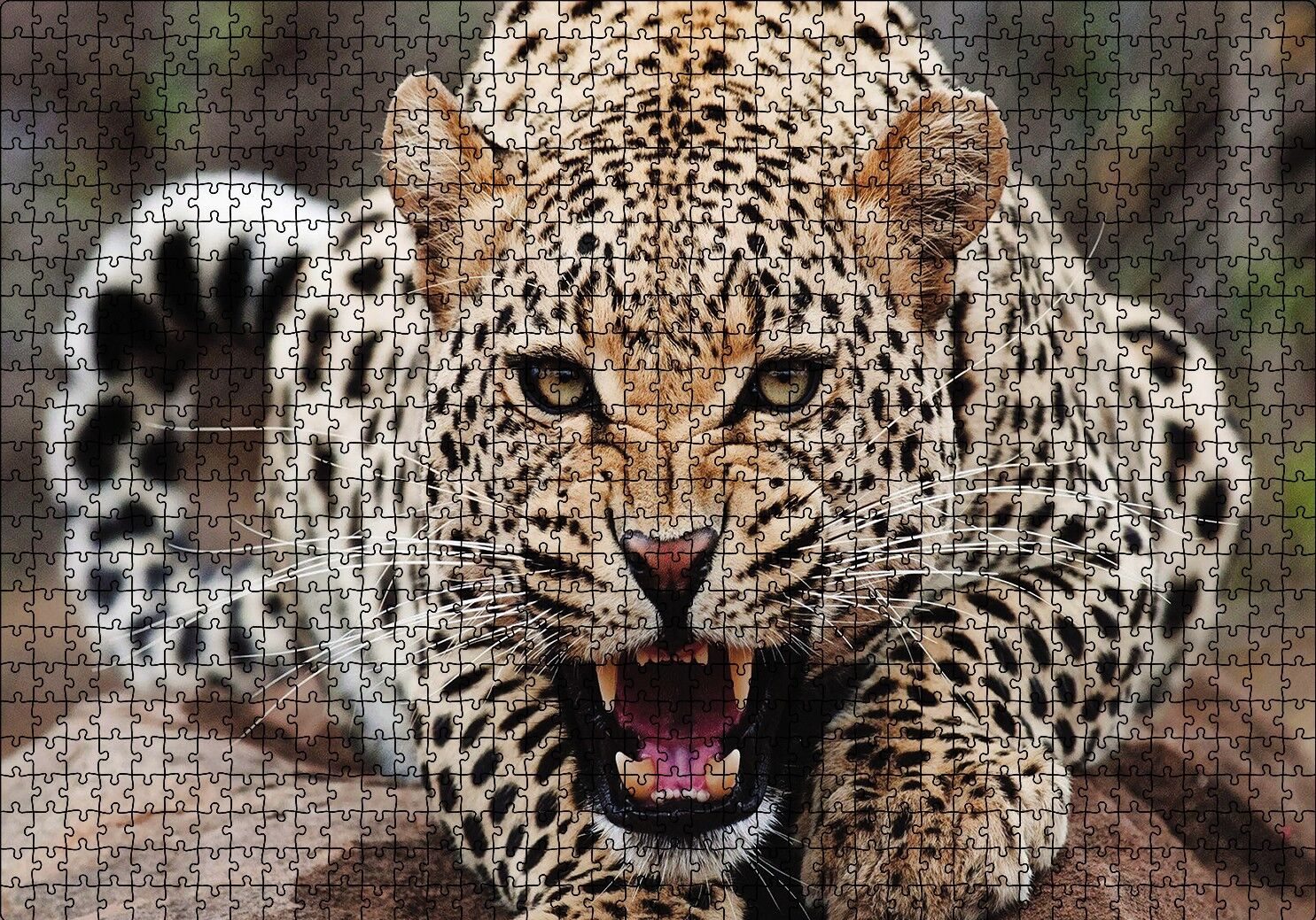 Kükreyen Jaguar Puzzle Yapboz MDF Ahşap 1000 Parça 49 cm X 68 cm