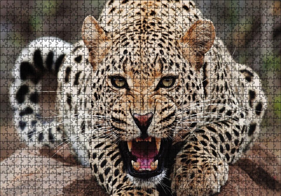 Kükreyen Jaguar Puzzle Yapboz MDF Ahşap 1000 Parça 49 cm X 68 cm