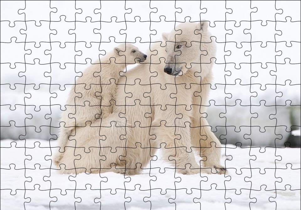 Beyaz Ayı Ailesi Kutup Puzzle Yapboz MDF Ahşap 120 Parça 24 cm X 34 cm