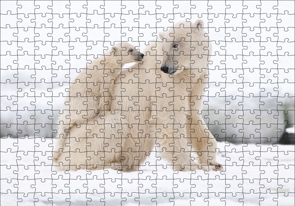 Beyaz Ayı Ailesi Kutup Puzzle Yapboz MDF Ahşap 255 Parça 34 cm X 49 cm