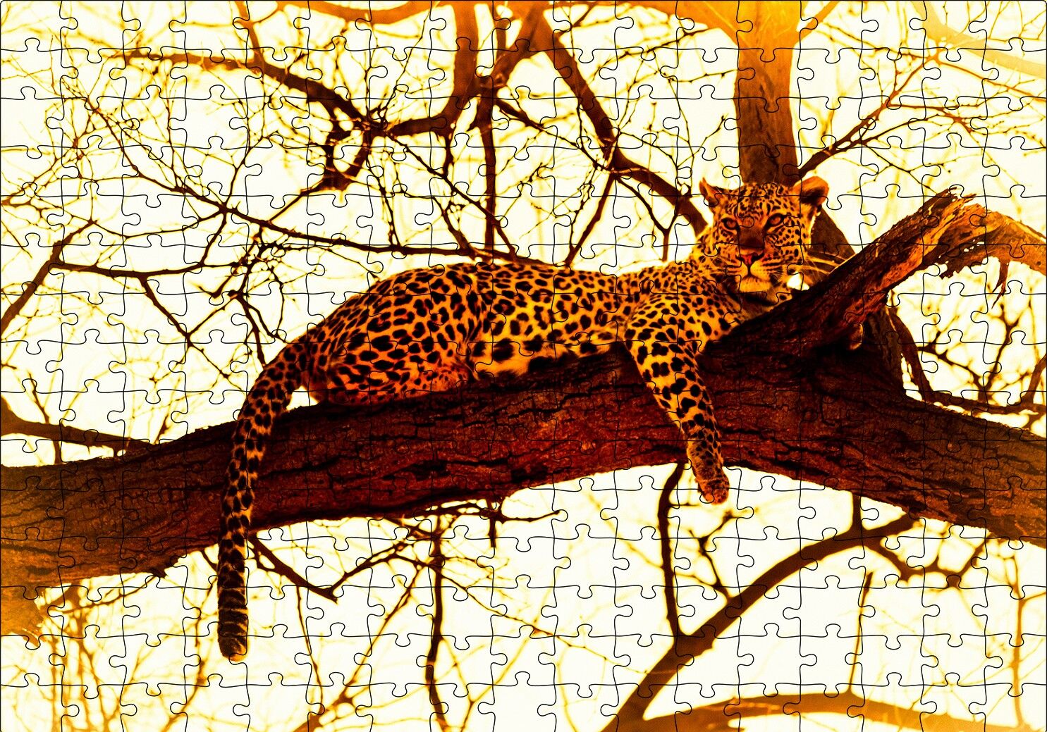 Leopar Ağaçta Dinleniyor Puzzle Yapboz MDF Ahşap 255 Parça 34 cm X 49 cm