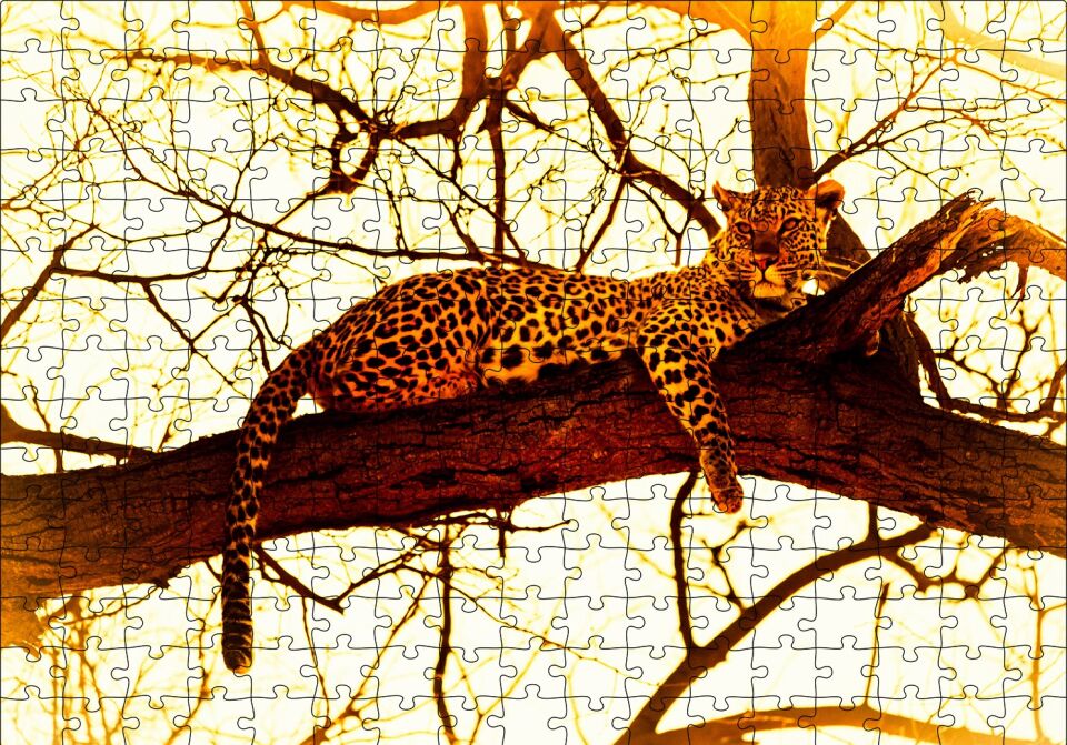 Leopar Ağaçta Dinleniyor Puzzle Yapboz MDF Ahşap 255 Parça 34 cm X 49 cm