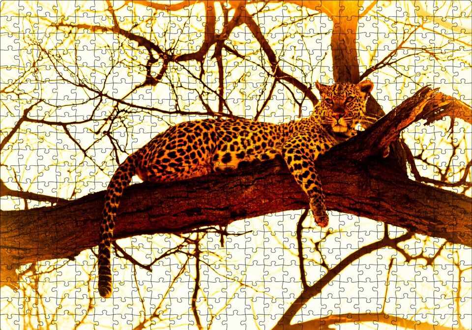 Leopar Ağaçta Dinleniyor Puzzle Yapboz MDF Ahşap 500 Parça 49 cm X 68 cm