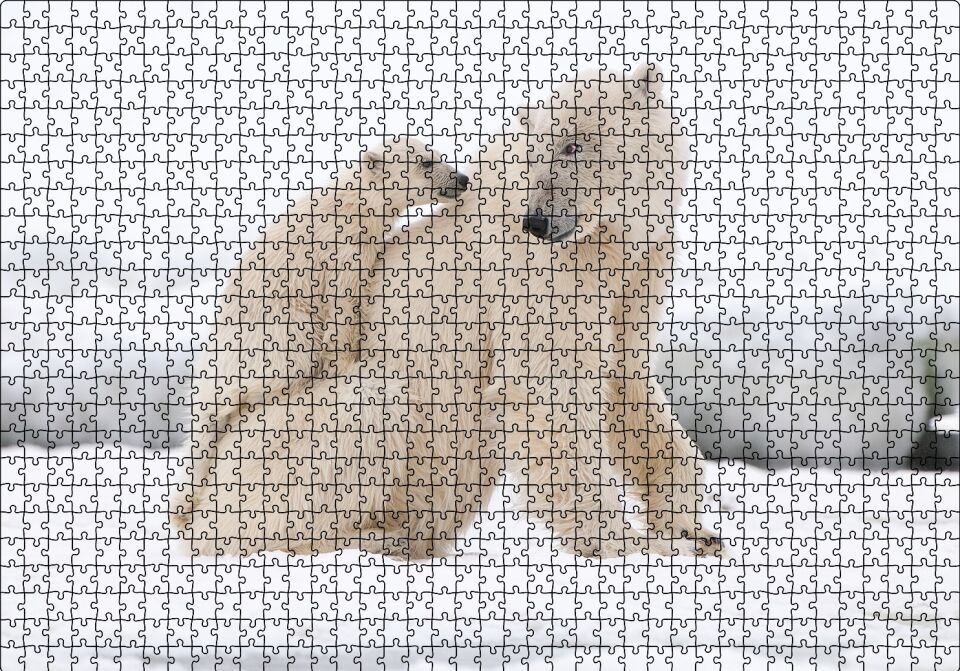 Beyaz Ayı Ailesi Kutup Puzzle Yapboz MDF Ahşap 1000 Parça 49 cm X 68 cm