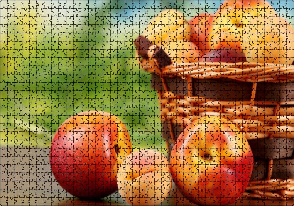 Sepette Kayısı ve Nektarinler Flu Arka Plan Puzzle Yapboz MDF Ahşap 1000 Parça 49 cm X 68 cm