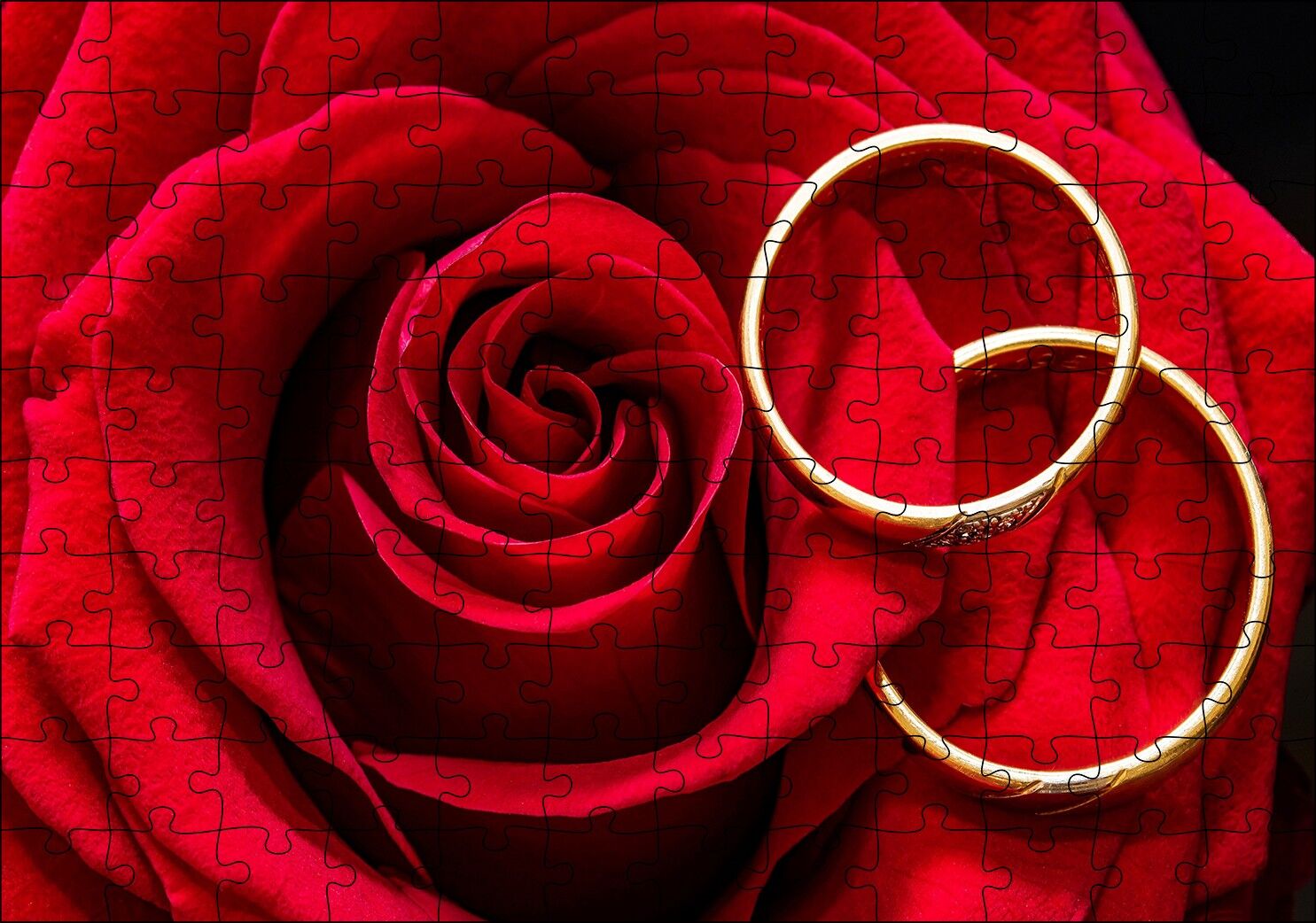 Yakın Plan Kırmızı Gül ve Alyanslar Puzzle Yapboz MDF Ahşap