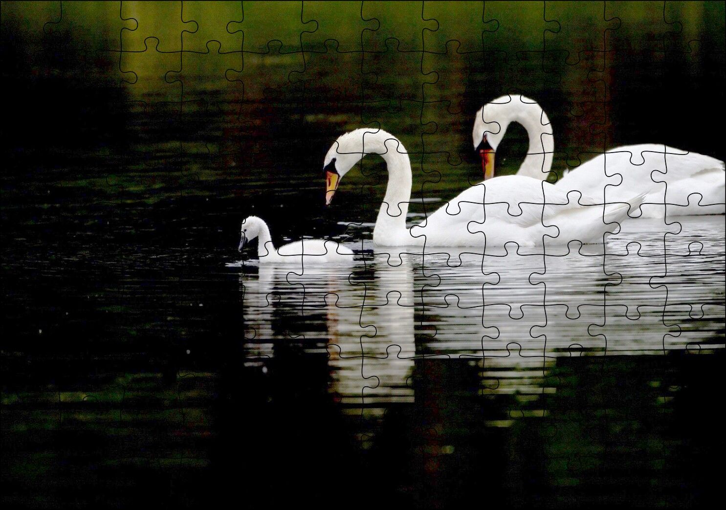 Gölde Yüzen Bir Çift Kuğu ve Yavruları Puzzle Yapboz MDF Ahşap