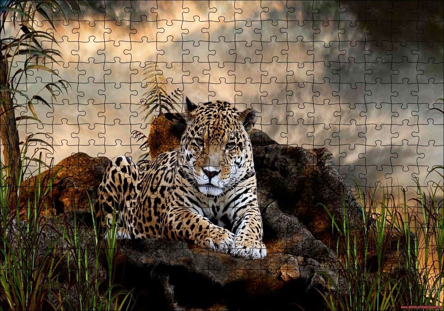 Kayalıklarda Jaguar Kara Bulutlar Görseli Puzzle Yapboz MDF Ahşap 255 Parça 34 cm X 49 cm
