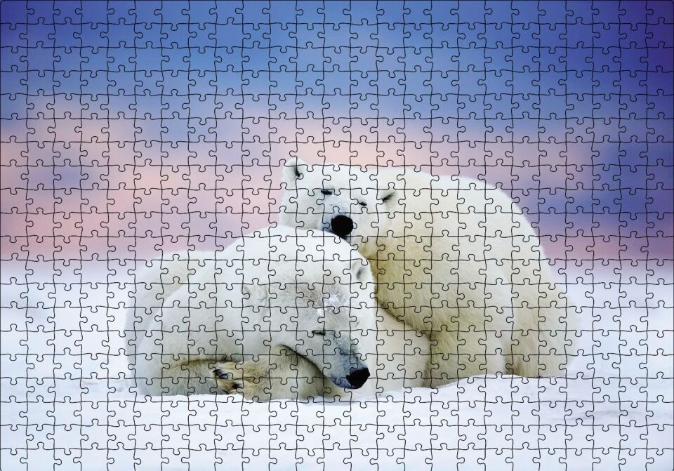 Beyaz Ayılar Kış Puzzle Yapboz MDF Ahşap 500 Parça 49 cm X 68 cm