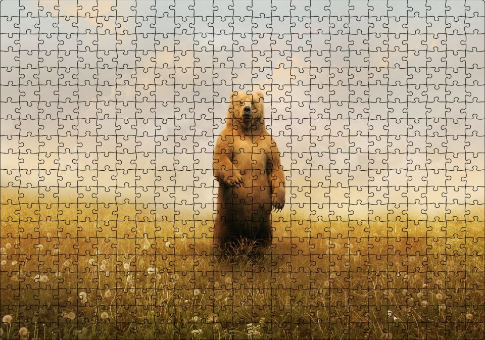 Sisli Çayırda Ayakta Duran Boz Ayı Puzzle Yapboz MDF Ahşap 500 Parça 49 cm X 68 cm