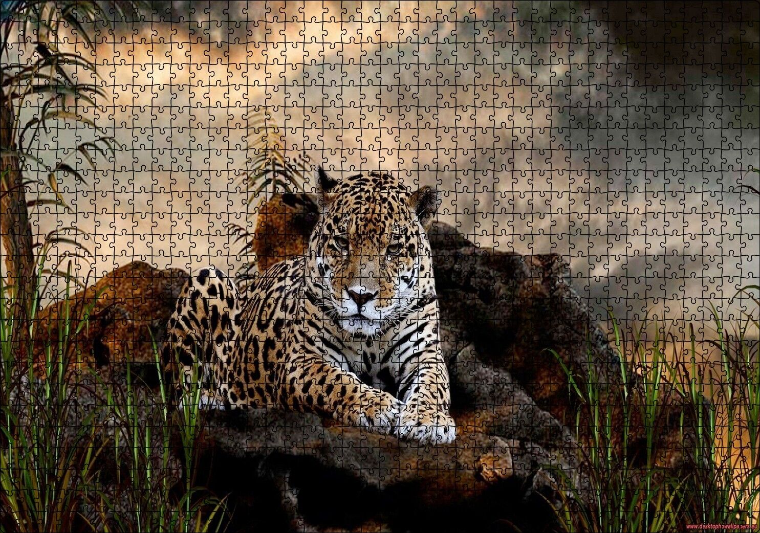 Kayalıklarda Jaguar Kara Bulutlar Görseli Puzzle Yapboz MDF Ahşap 1000 Parça 49 cm X 68 cm