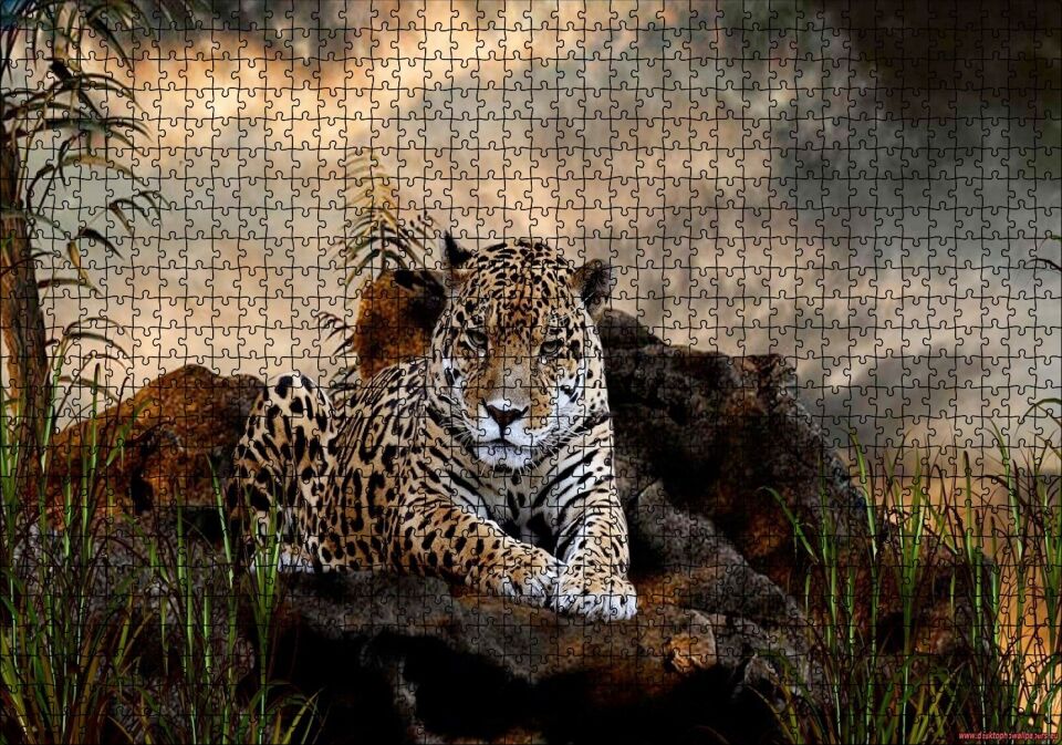 Kayalıklarda Jaguar Kara Bulutlar Görseli Puzzle Yapboz MDF Ahşap 1000 Parça 49 cm X 68 cm