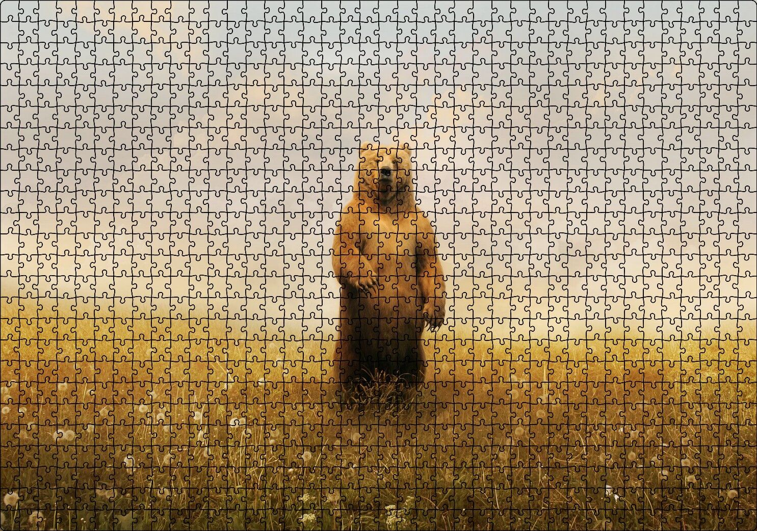 Sisli Çayırda Ayakta Duran Boz Ayı Puzzle Yapboz MDF Ahşap 1000 Parça 49 cm X 68 cm