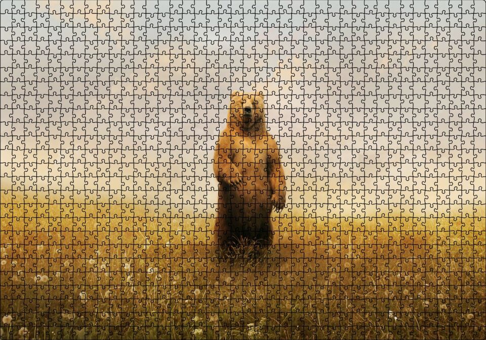 Sisli Çayırda Ayakta Duran Boz Ayı Puzzle Yapboz MDF Ahşap 1000 Parça 49 cm X 68 cm
