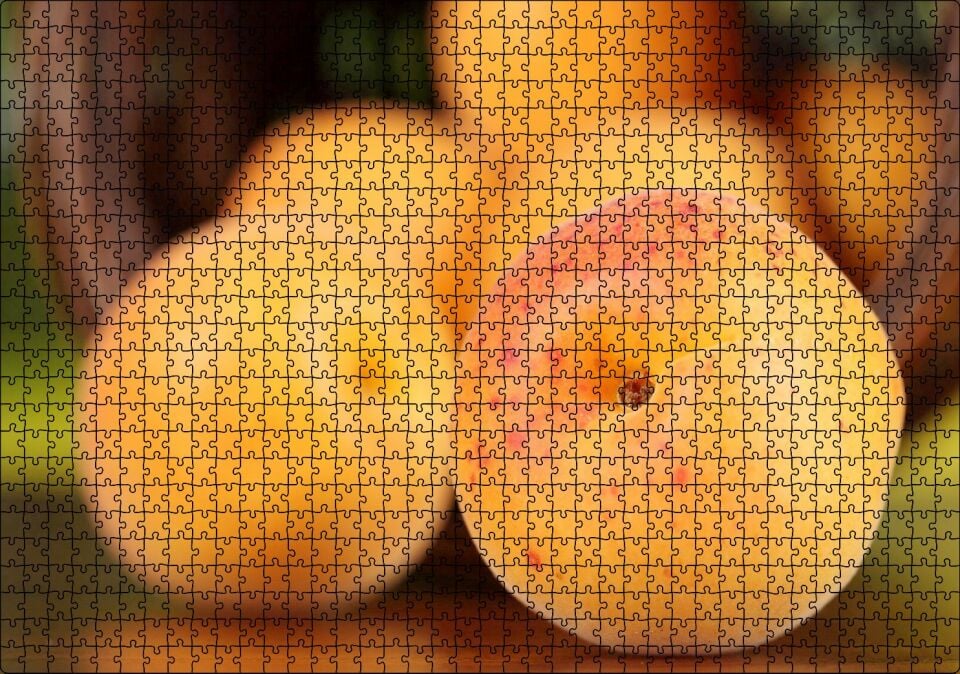 Sepetten Dökülen Taze Kayısılar Yakın Çekim Puzzle Yapboz MDF Ahşap 1000 Parça 49 cm X 68 cm