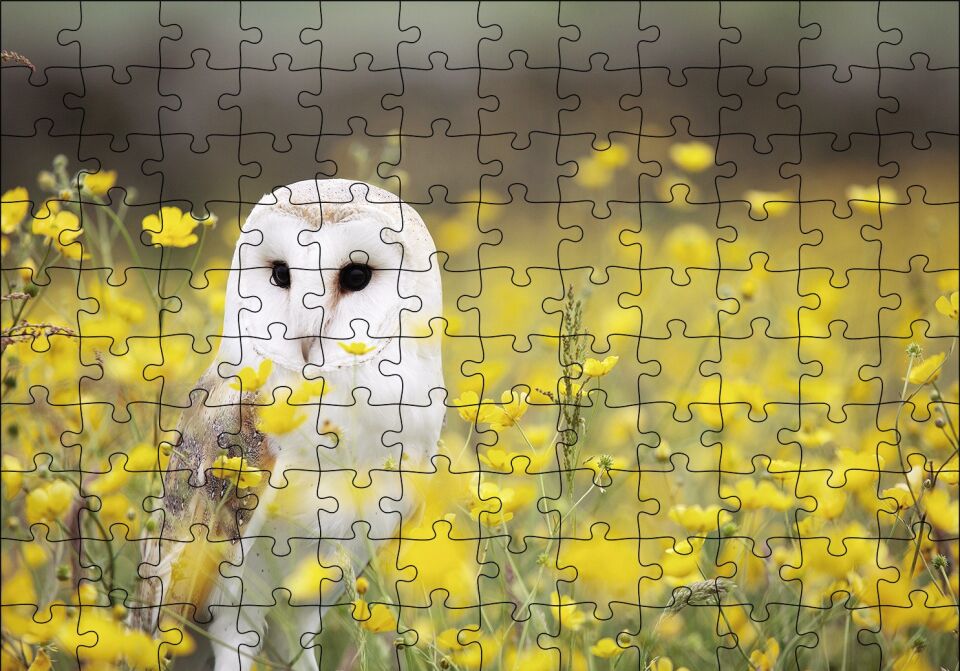 Doğada Peçeli Baykuş Puzzle Yapboz MDF Ahşap 120 Parça 24 cm X 34 cm