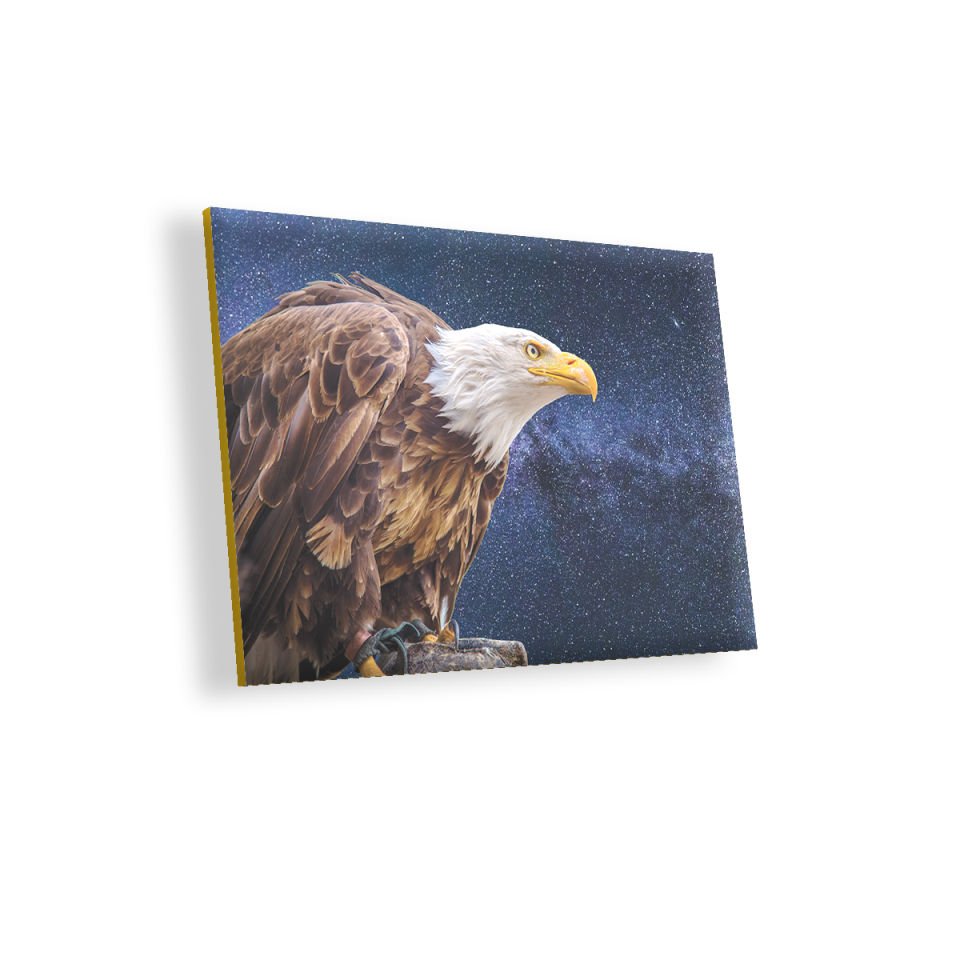 Kel Kartal MDF Akşap Duvar Tablo 35x50 cm