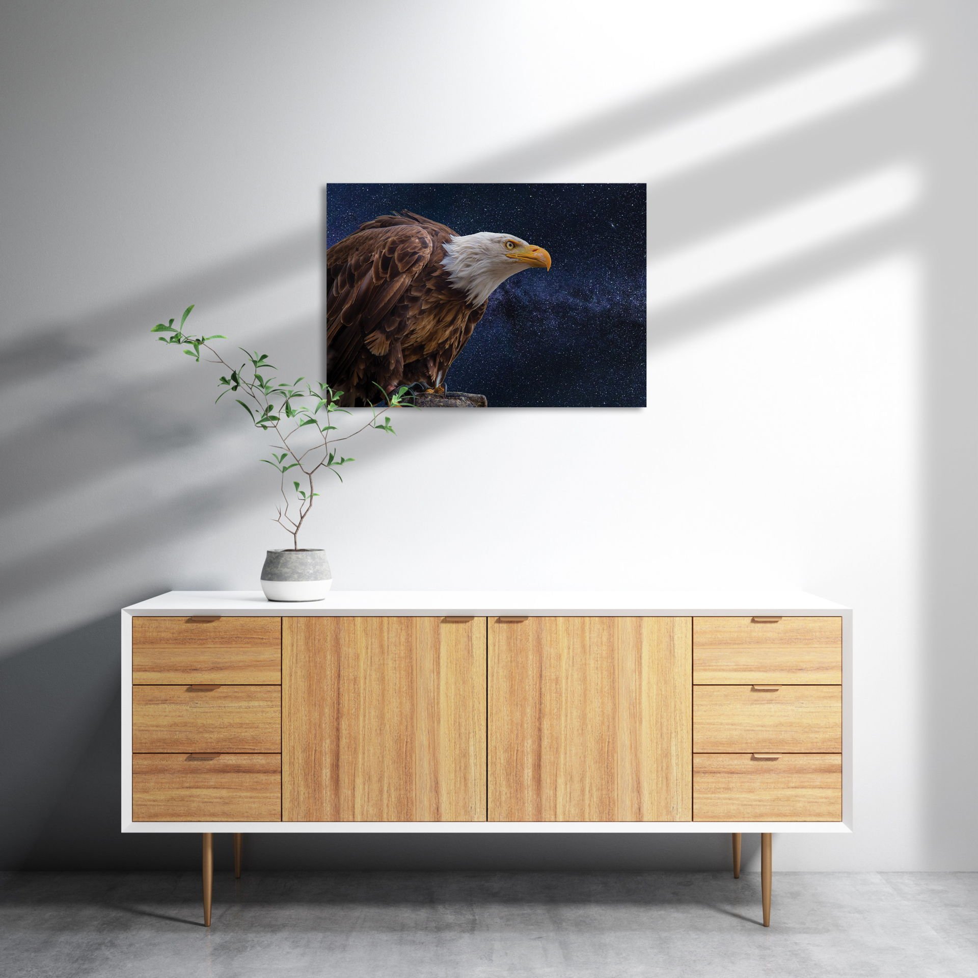 Kel Kartal MDF Akşap Duvar Tablo 35x50 cm