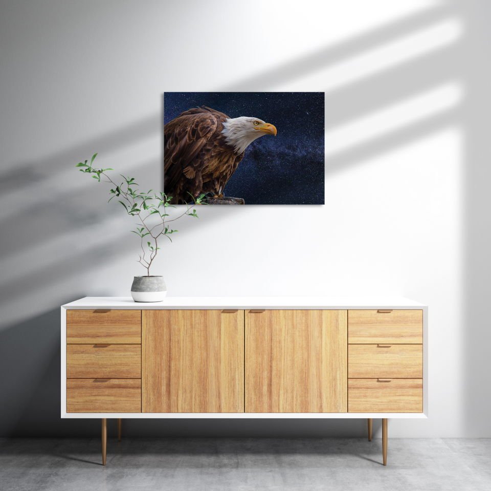 Kel Kartal MDF Akşap Duvar Tablo 35x50 cm