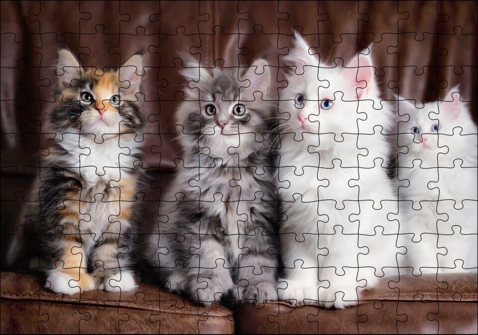 Kahverengi Deri Koltukta Sevimli 4 Kedi Puzzle Yapboz MDF Ahşap