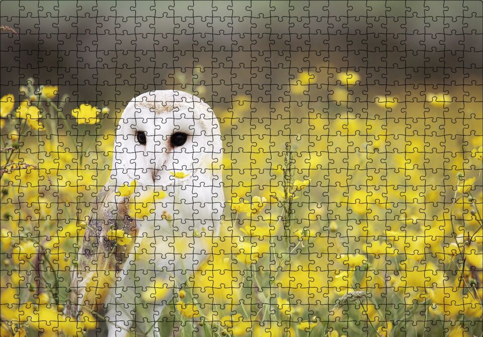 Doğada Peçeli Baykuş Puzzle Yapboz MDF Ahşap 500 Parça 49 cm X 68 cm