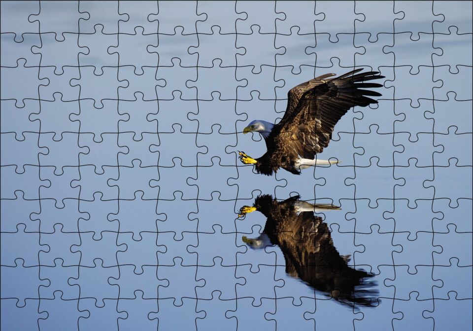 Beyaz Başlı Kartal Yansıma Puzzle Yapboz MDF Ahşap 120 Parça 24 cm X 34 cm