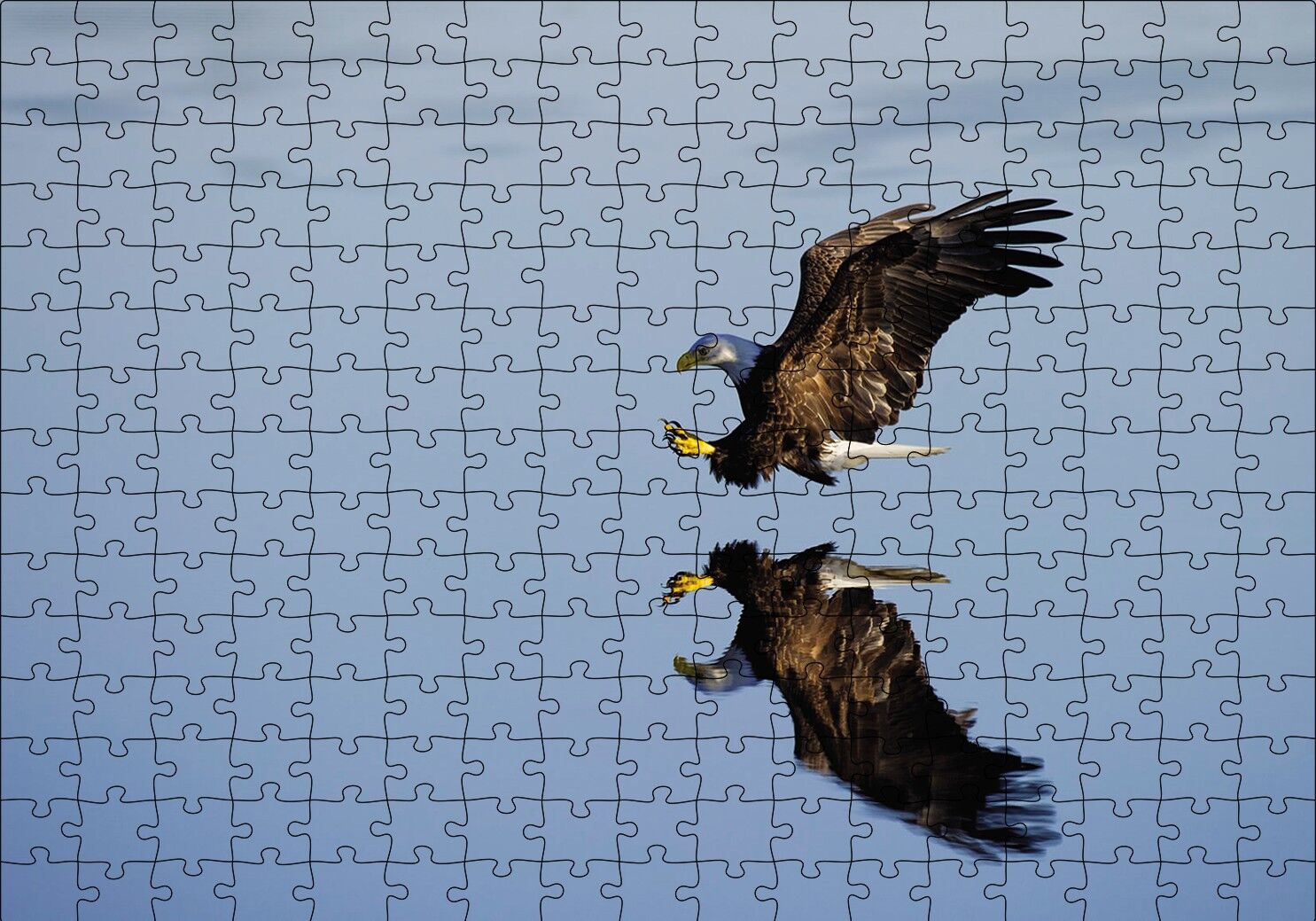 Beyaz Başlı Kartal Yansıma Puzzle Yapboz MDF Ahşap 255 Parça 34 cm X 49 cm