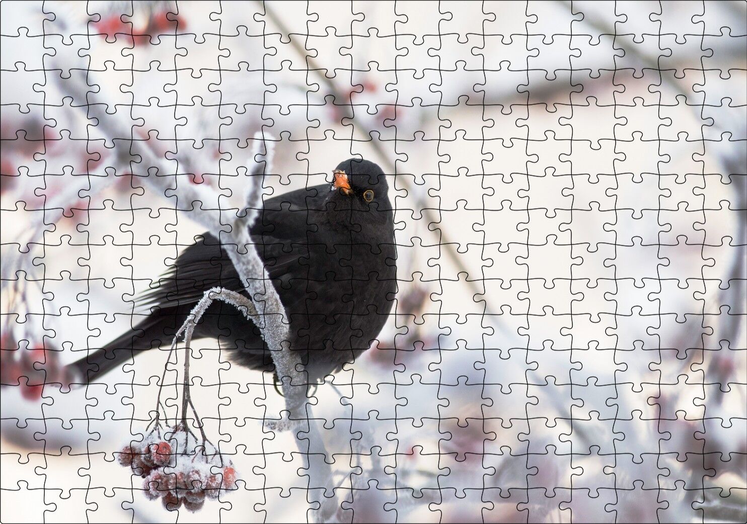 Karlı Dalların Üzerindeki Karatavuk Puzzle Yapboz MDF Ahşap 255 Parça 34 cm X 49 cm
