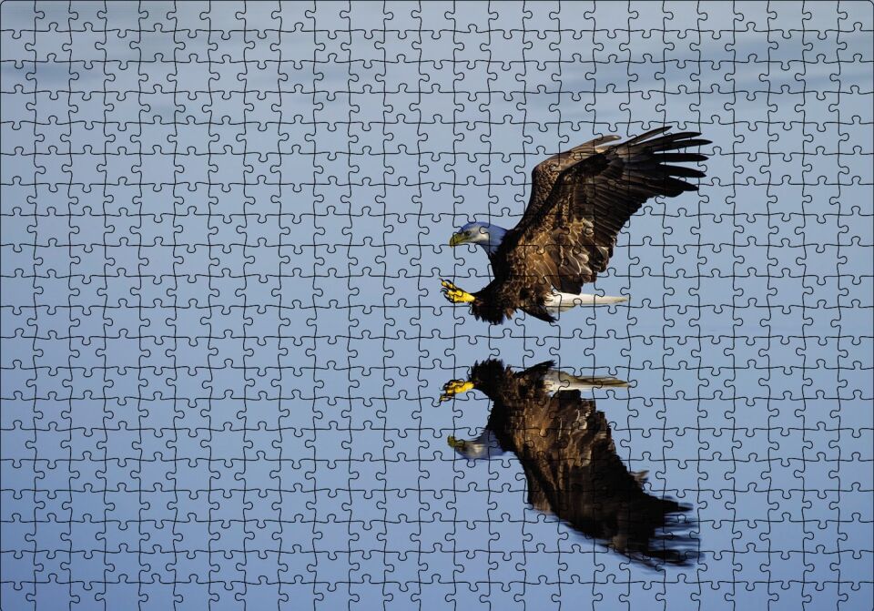 Beyaz Başlı Kartal Yansıma Puzzle Yapboz MDF Ahşap 500 Parça 49 cm X 68 cm