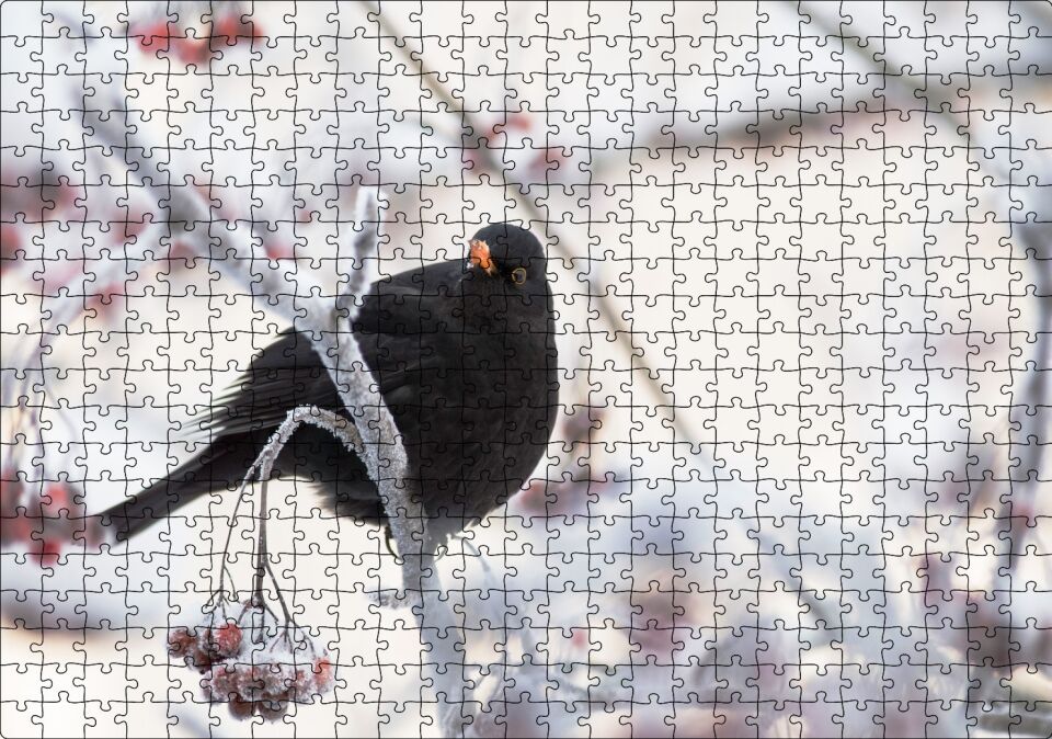 Karlı Dalların Üzerindeki Karatavuk Puzzle Yapboz MDF Ahşap 500 Parça 49 cm X 68 cm