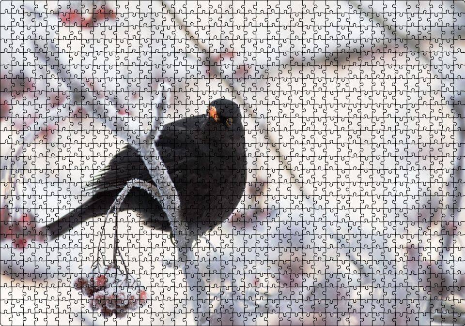 Karlı Dalların Üzerindeki Karatavuk Puzzle Yapboz MDF Ahşap 1000 Parça 49 cm X 68 cm