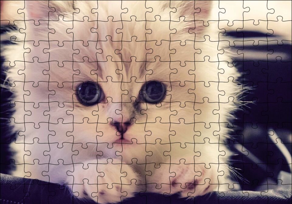 Beyaz Kedi Puzzle Yapboz MDF Ahşap 120 Parça 24 cm X 34 cm