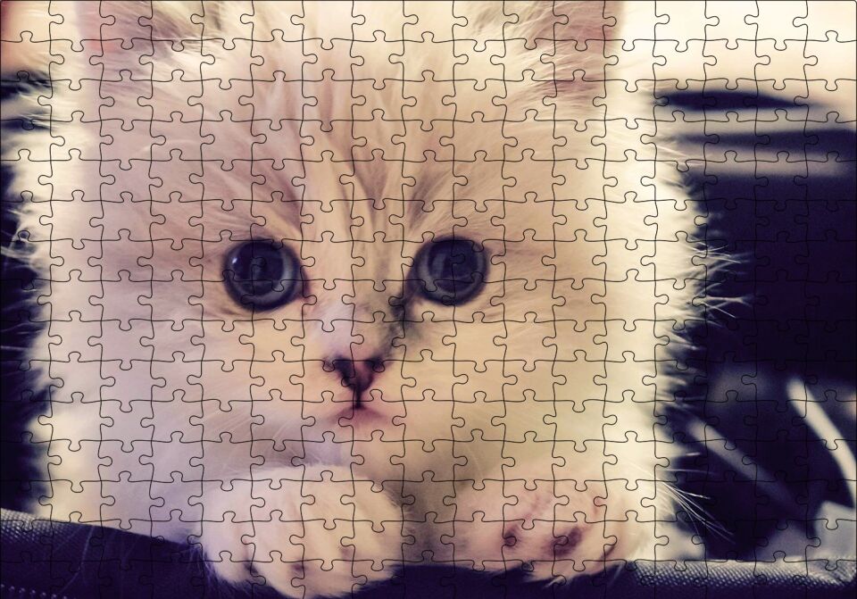 Beyaz Kedi Puzzle Yapboz MDF Ahşap 255 Parça 34 cm X 49 cm