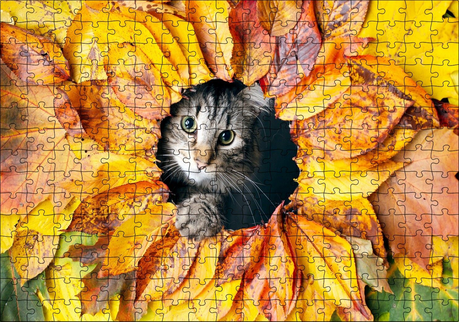 Sonbahar Rengi Yapraklar Arasındaki Kedi Puzzle Yapboz MDF Ahşap 255 Parça 34 cm X 49 cm