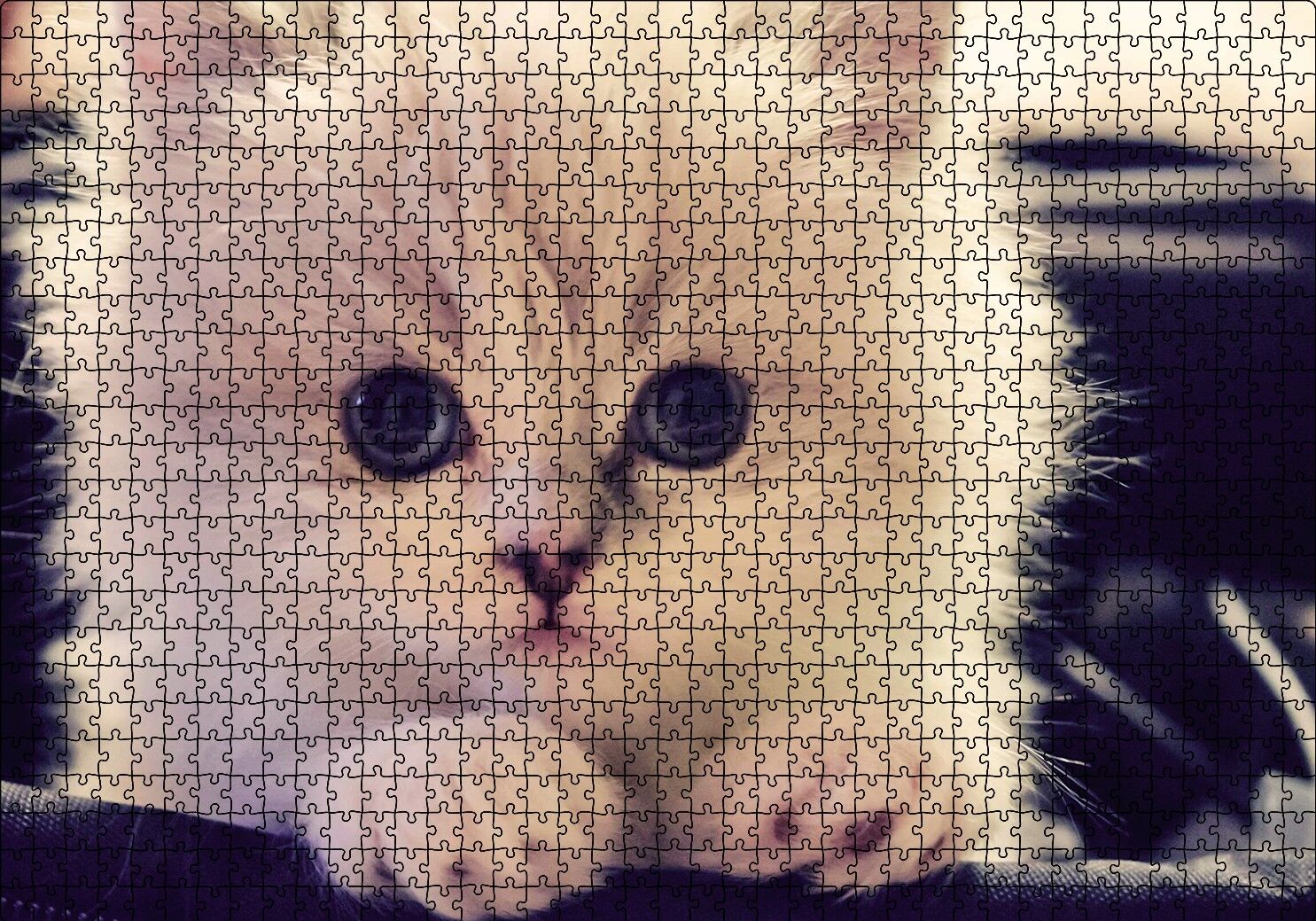 Beyaz Kedi Puzzle Yapboz MDF Ahşap 1000 Parça 49 cm X 68 cm