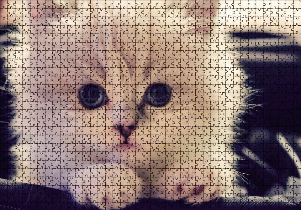 Beyaz Kedi Puzzle Yapboz MDF Ahşap 1000 Parça 49 cm X 68 cm