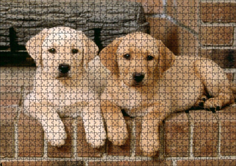 Şöminenin Önünde İki Labrador Yavrusu Puzzle Yapboz MDF Ahşap 1000 Parça 49 cm X 68 cm