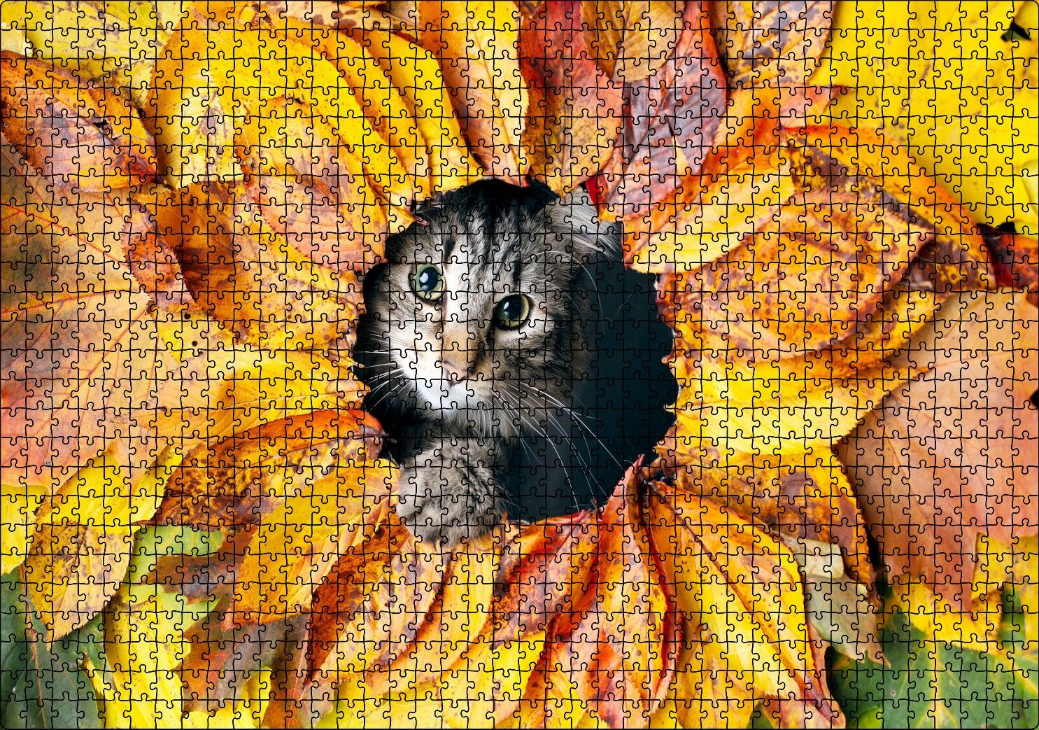 Sonbahar Rengi Yapraklar Arasındaki Kedi Puzzle Yapboz MDF Ahşap 1000 Parça 49 cm X 68 cm
