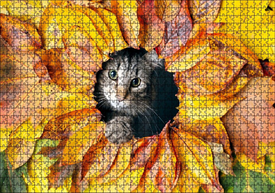 Sonbahar Rengi Yapraklar Arasındaki Kedi Puzzle Yapboz MDF Ahşap 1000 Parça 49 cm X 68 cm