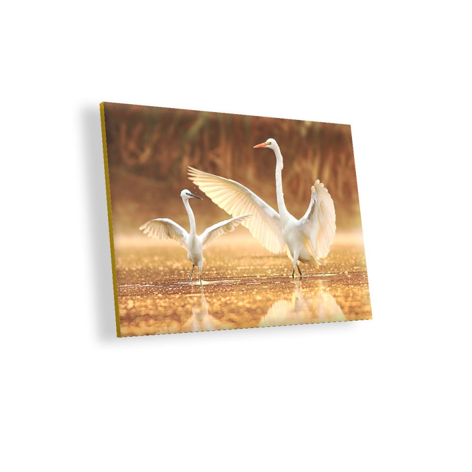 Balıkçıl Kuş ve Yavrusu MDF Akşap Duvar Tablo 50x70 cm