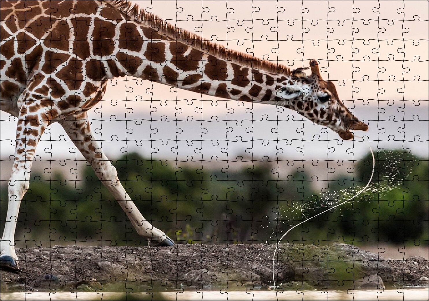 Su İçen Zurafa Puzzle Yapboz MDF Ahşap 255 Parça 34 cm X 49 cm