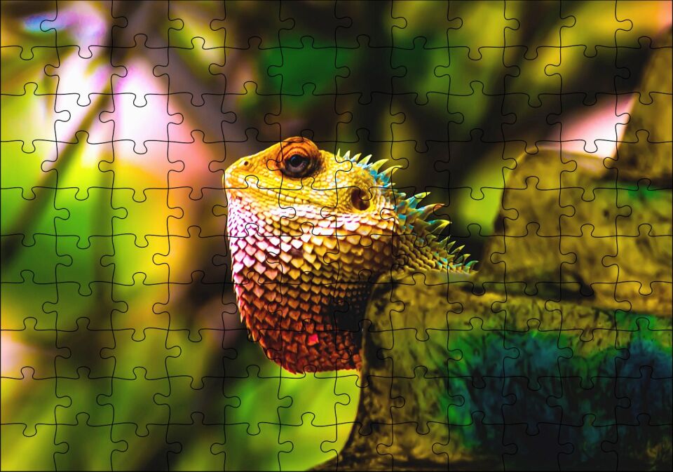 Doğal Yaşamda İguana Puzzle Yapboz MDF Ahşap