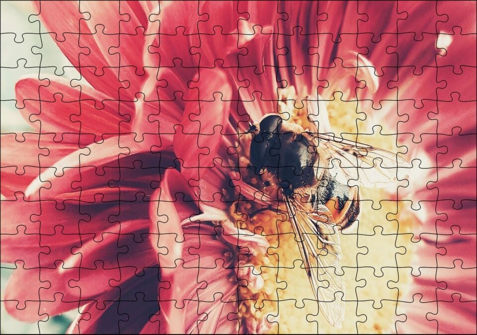 Kırmızı Çiçekten Polen Toplayan Arı Puzzle Yapboz MDF Ahşap