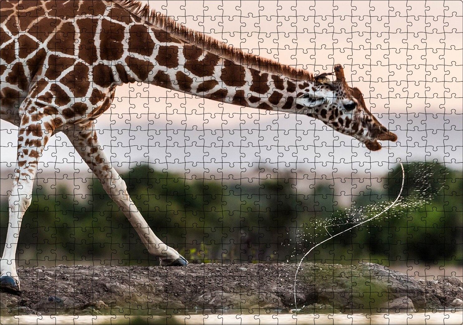 Su İçen Zurafa Puzzle Yapboz MDF Ahşap 500 Parça 49 cm X 68 cm