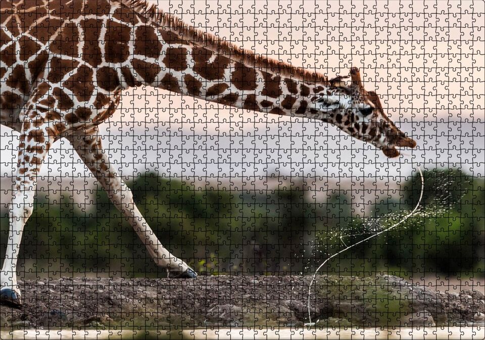 Su İçen Zurafa Puzzle Yapboz MDF Ahşap 1000 Parça 49 cm X 68 cm