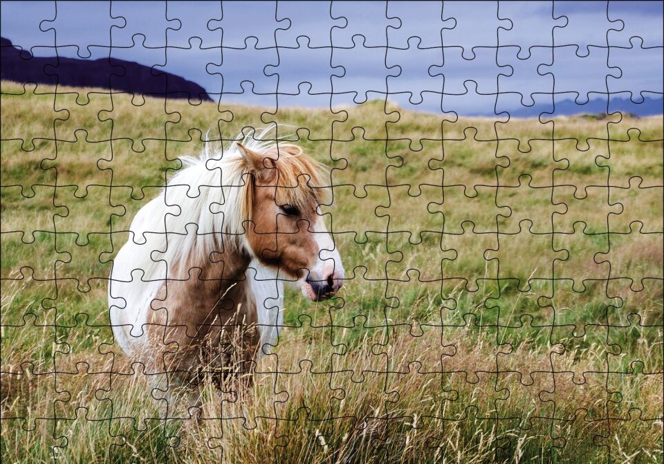 Beyaz Yeleli Midilli Puzzle Yapboz MDF Ahşap 120 Parça 24 cm X 34 cm