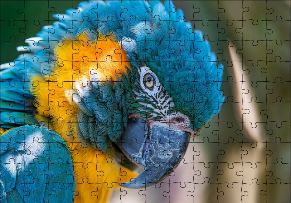 Mavi ve Sarı Macaw Papağanı Yakın Plan Puzzle Yapboz MDF Ahşap 120 Parça 24 cm X 34 cm